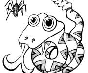 Coloriage Serpent et araign&eacute;e