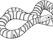 Coloriage Serpent lumineux &agrave; colori