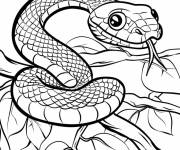 Coloriage Serpent magique
