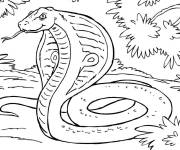 Coloriage Serpent m&eacute;chant de dessin anim&eacute;