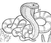 Coloriage Serpent m&eacute;chant parmi les cactus