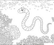 Coloriage Serpent parmi les arbres