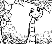 Coloriage Serpent Pomme Arbre rigolo