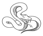 Coloriage Serpent pret &agrave; piquer