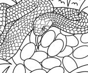 Coloriage Serpent prot&eacute;geant ses oeufs