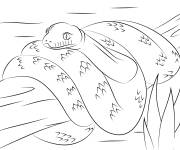 Coloriage Serpent Python am&eacute;thyste
