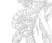 Coloriage Serpent Python de Seba