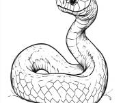 Coloriage Serpent r&eacute;el