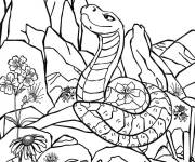 Coloriage Serpent se pr&eacute;lassant sur une roche