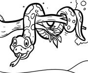Coloriage Serpent se trouve sur l'arbre