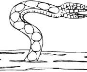 Coloriage Serpent sortant d'eau