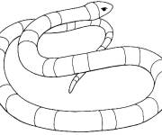 Coloriage Serpent Taipan