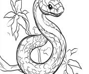 Coloriage serpent tropicale