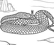 Coloriage Serpent vip&egrave;re mortel