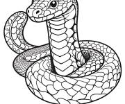 Coloriage Th&egrave;me des serpent