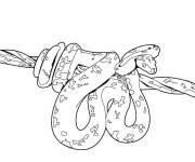 Coloriage Un cobra venimeux