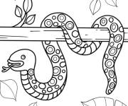 Coloriage Un joli serpent suspendu &agrave; une branche