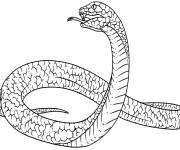 Coloriage Une vip&egrave;re furieuse