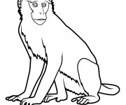 Coloriage Guenon