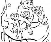 Coloriage La famille des Singes