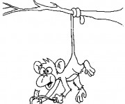 Coloriage Petit Singe invers&eacute;
