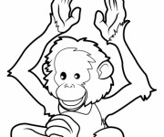 Coloriage Singe animal en ligne