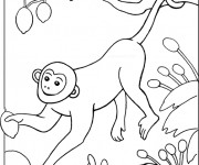 Coloriage Singe dans un arbre