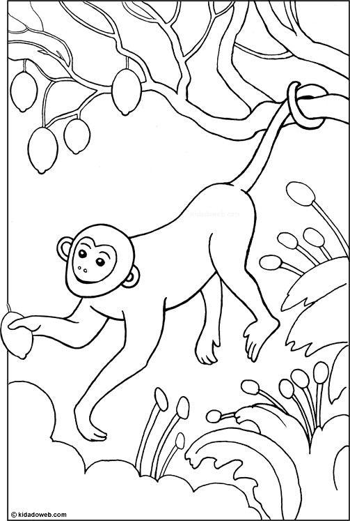 singe dans un arbre