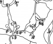 Coloriage Singe dessin animal en ligne