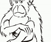 Coloriage et dessins gratuit Singe Ouistiti à imprimer