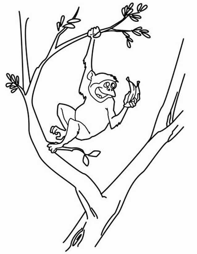 Coloriage De Singe Rigolo
