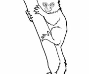Coloriage Singe sur l'arbre dessin couleur
