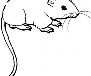 Coloriage Souris à télécharger