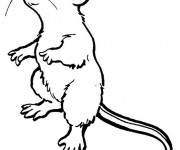 Coloriage Souris debout