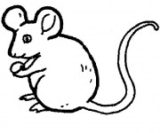 Coloriage Souris simple