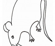 Coloriage Souris stylisé en couleur