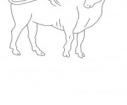 Coloriage Taureau &agrave; colorier