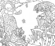 Coloriage Conflit des Tigres