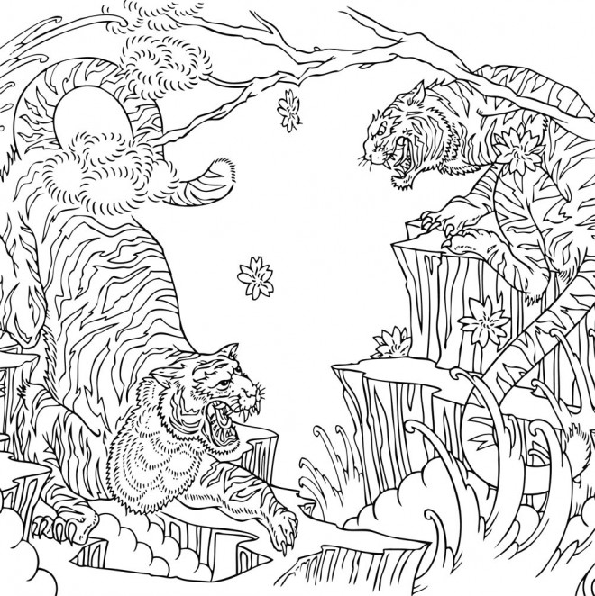 Coloriage et dessins gratuits Conflit des Tigres à imprimer