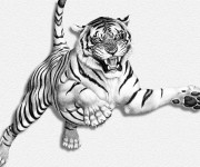 Coloriage et dessins gratuit Image d'un Tigre tout en sautant à imprimer