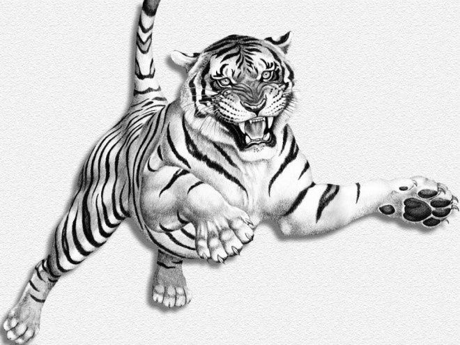 Coloriage Image Dun Tigre Tout En Sautant Dessin Gratuit à