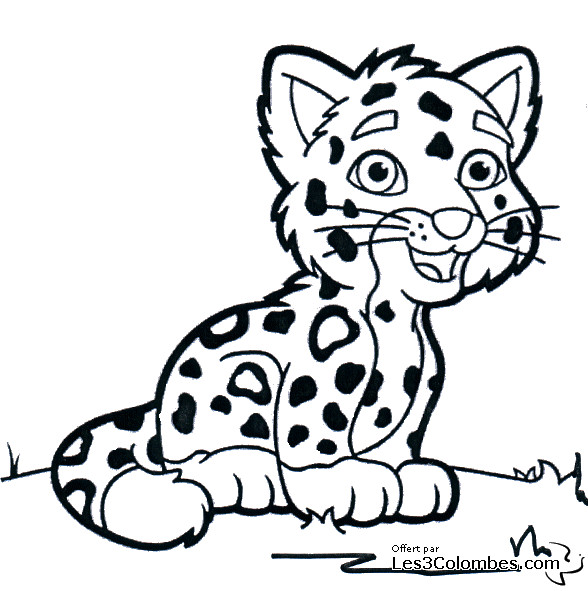 Coloriage Tigre Gratuit A Imprimer