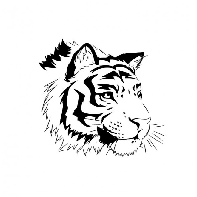 Coloriage Tête De Tigre Dessin Gratuit à Imprimer