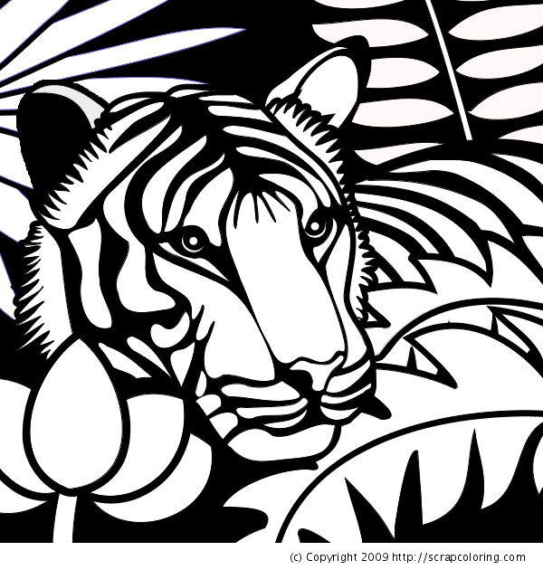 Coloriage Tête de Tigre vectoriel dessin gratuit à imprimer