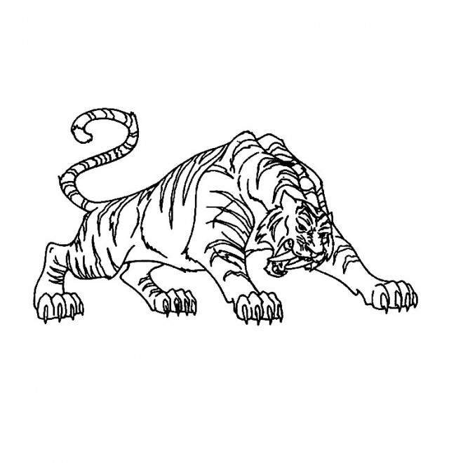 Coloriage Tigre En Attaquant Dessin Gratuit à Imprimer