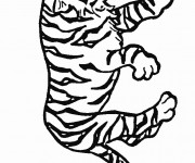 Coloriage Tigre en train de surveiller