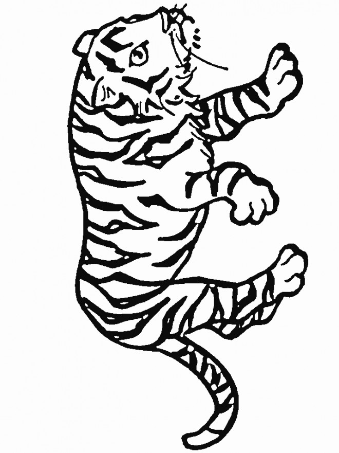 Coloriage et dessins gratuits Tigre en train de surveiller à imprimer
