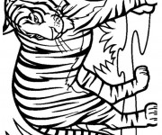 Coloriage Tigre réaliste