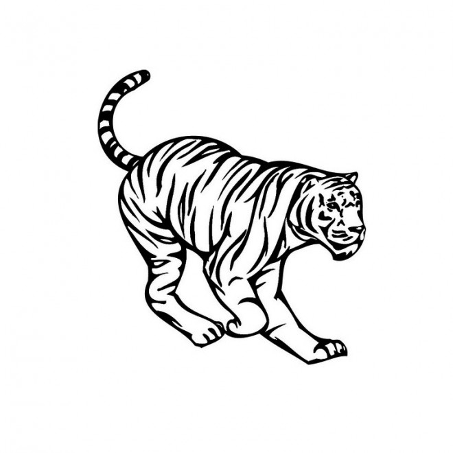 Coloriage Tigre vecteur dessin gratuit à imprimer