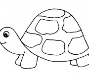 Coloriage Tortue avec petit tête